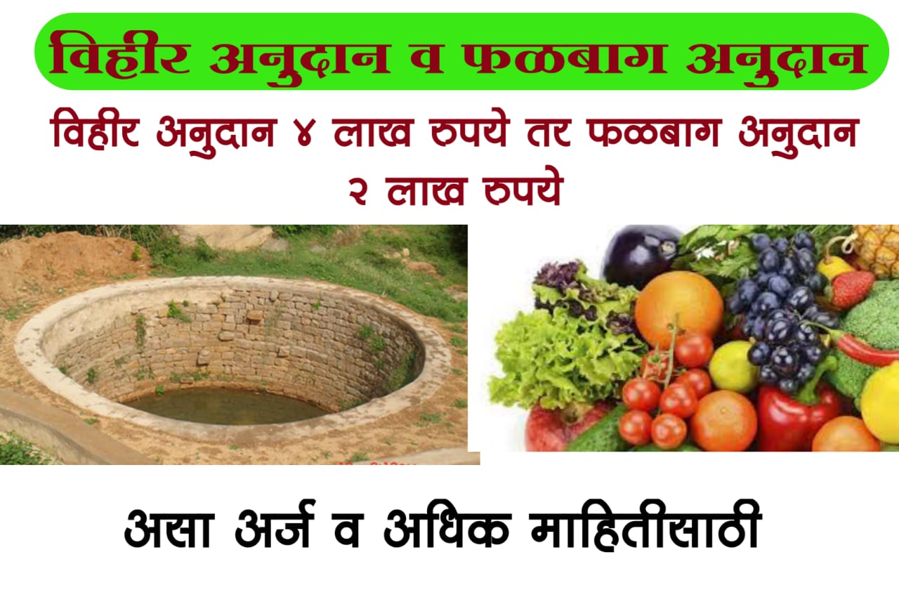 Vihir Subsidy