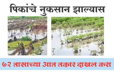 crop insurance
