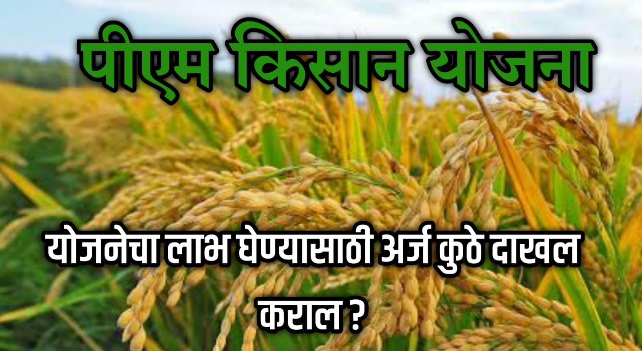 pm kisan yojana