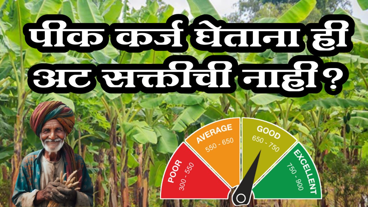 farmer crop loan cibil score check