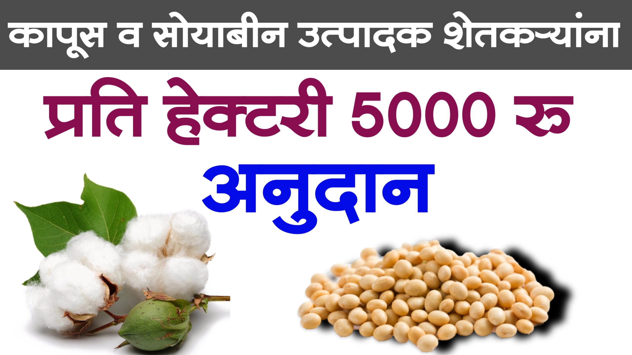 soyabean subsidy scheme in maharashtra