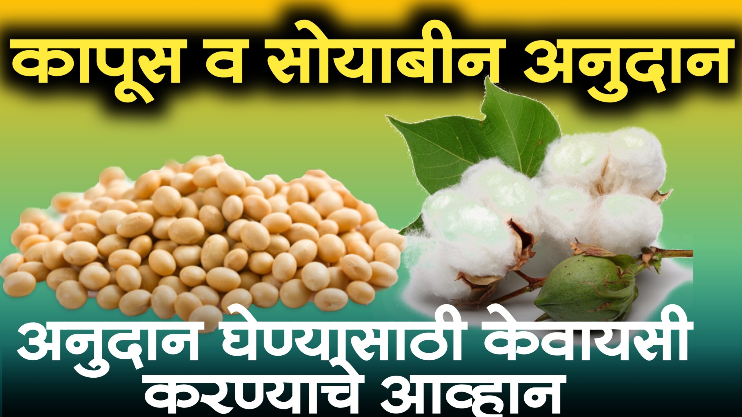 Kapus Soybean Anudan E Kyc