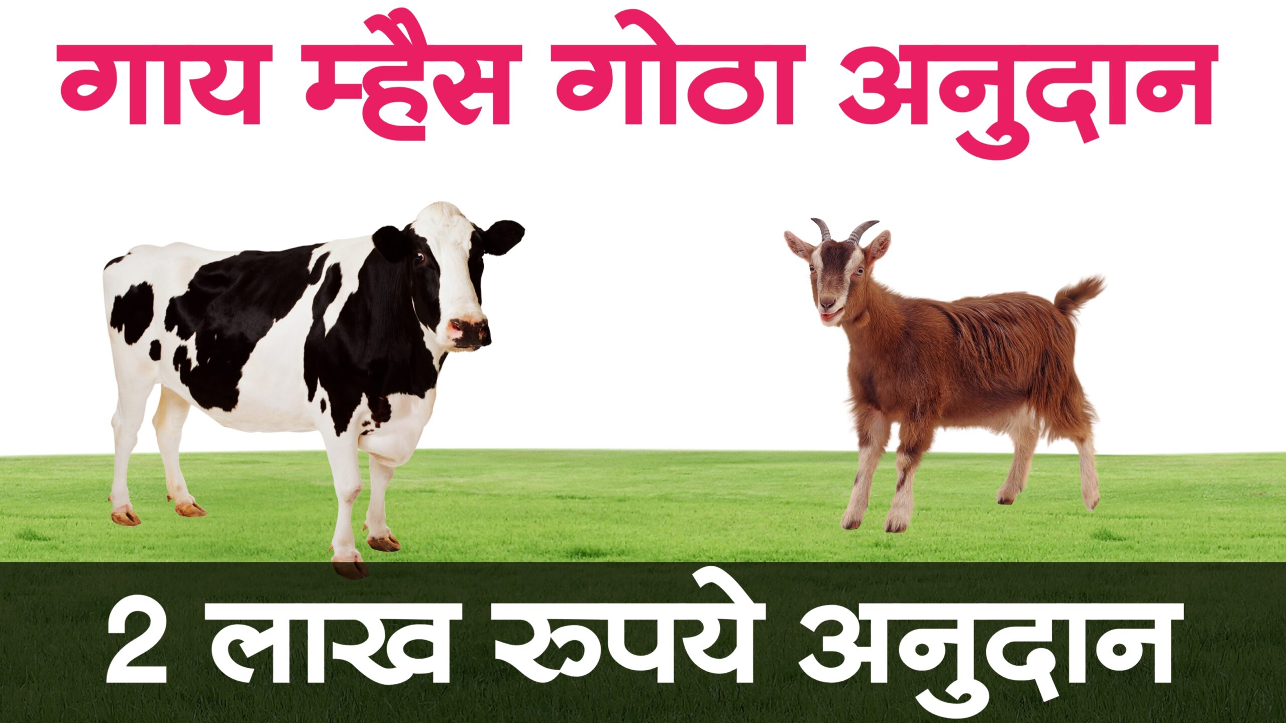 Gay Gotha Yojana 2025